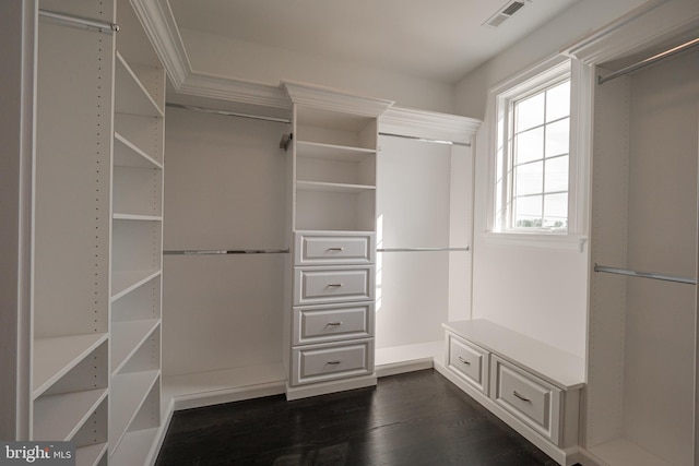 1337 Carolannes Way Unit B6, West Chester, PA 19382 - spacious closet with dark wood-style floors