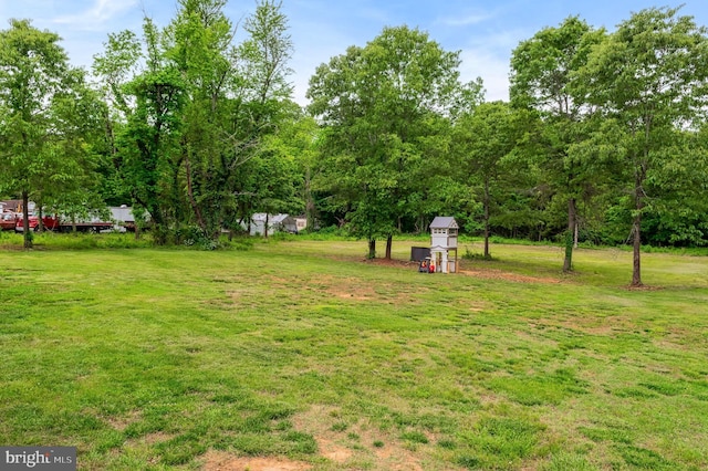 view of grassy yard