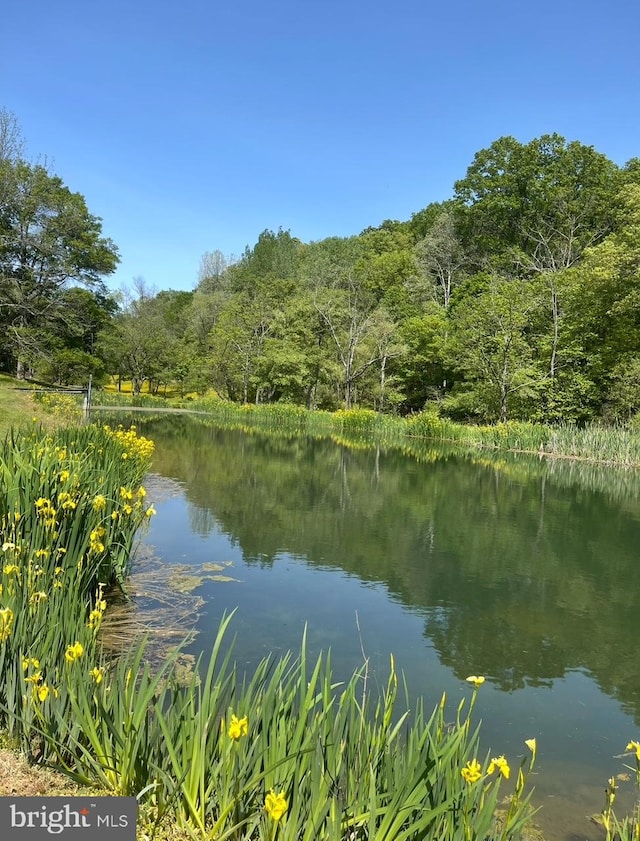 3012 Duncan Rd, White Hall, MD 21161 - water view featuring a forest