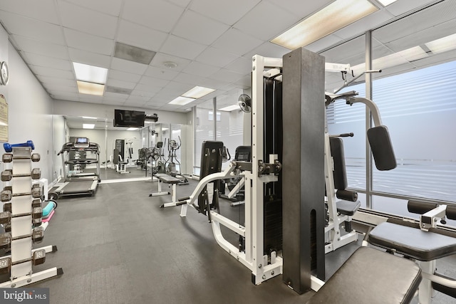 workout area featuring healthy amount of natural light and a paneled ceiling