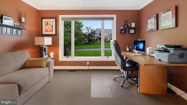 office with crown molding, carpet, and baseboards