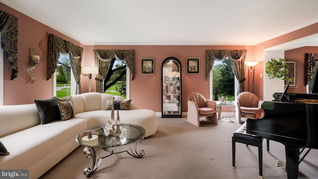 carpeted living room featuring crown molding