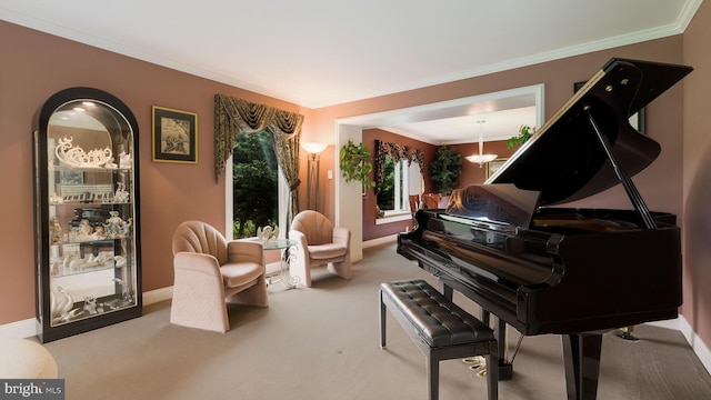 living area featuring carpet, baseboards, and crown molding
