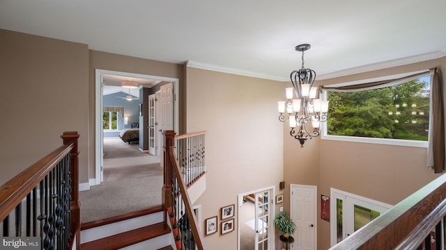 stairs featuring a chandelier, carpet flooring, and crown molding