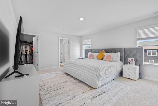 1638 Terrapin Cir, Cambridge, MD 21613 - carpeted bedroom with multiple windows, a spacious closet, baseboards, and a closet