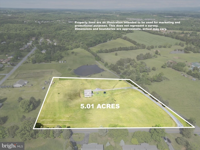 1497 Double Church Rd, Stephens City, VA 22655 - aerial view of sparsely populated area featuring property boundaries highlighted