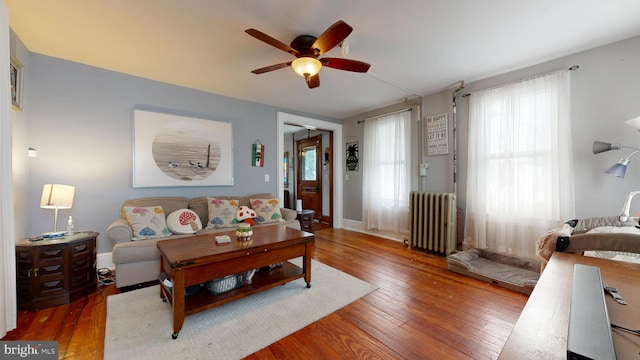 504 SE Front St, Milford, DE 19963 - living room featuring radiator heating unit, ceiling fan, hardwood / wood-style floors, and plenty of natural light