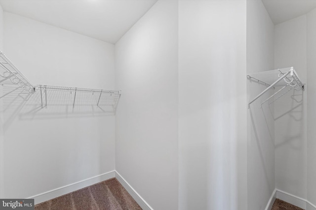 42869 Littlehales Ter, Ashburn, VA 20148 - walk in closet with dark colored carpet