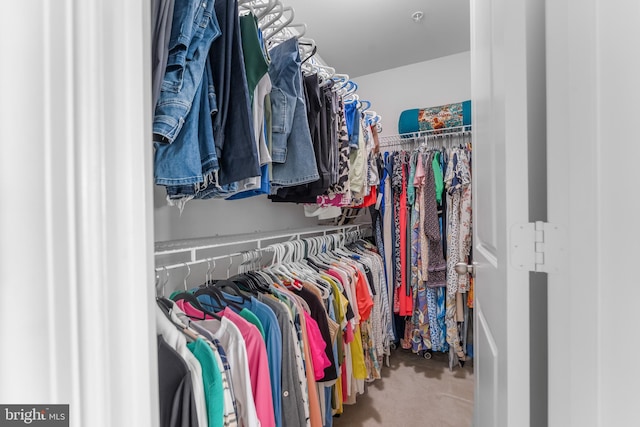 7820 Loblolly Way, Hanover, MD 21076 - walk in closet with carpet floors