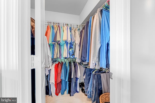 7820 Loblolly Way, Hanover, MD 21076 - spacious closet featuring carpet floors