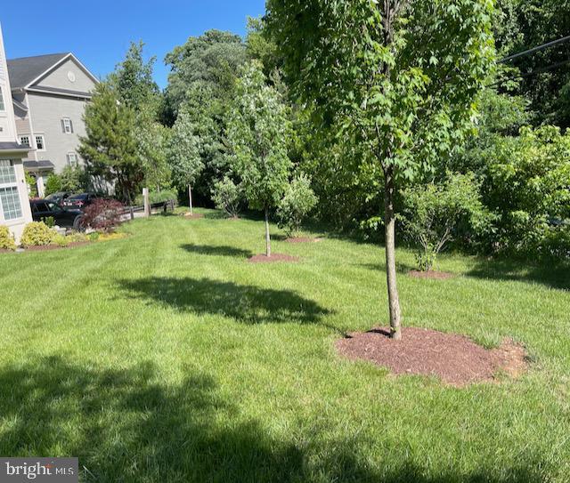 7820 Loblolly Way, Hanover, MD 21076 - view of green lawn