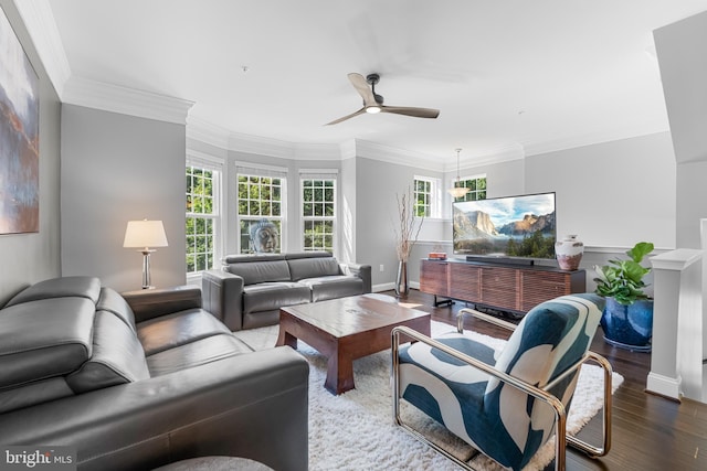 7820 Loblolly Way, Hanover, MD 21076 - living room with a ceiling fan, plenty of natural light, wood finished floors, ornamental molding, and baseboards