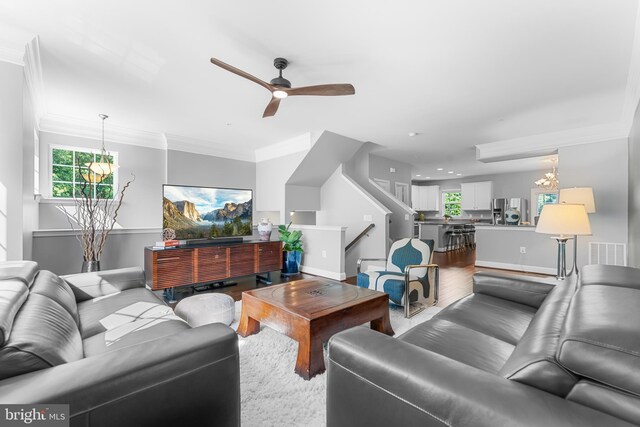 7820 Loblolly Way, Hanover, MD 21076 - living area featuring crown molding, ceiling fan, healthy amount of natural light, wood finished floors, and baseboards