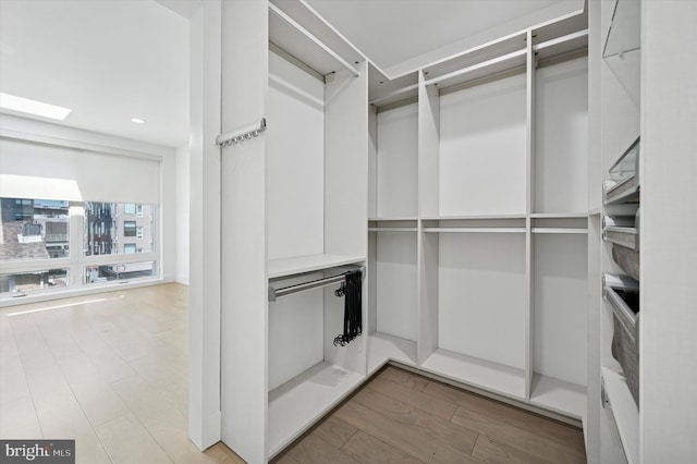 spacious closet featuring wood finished floors