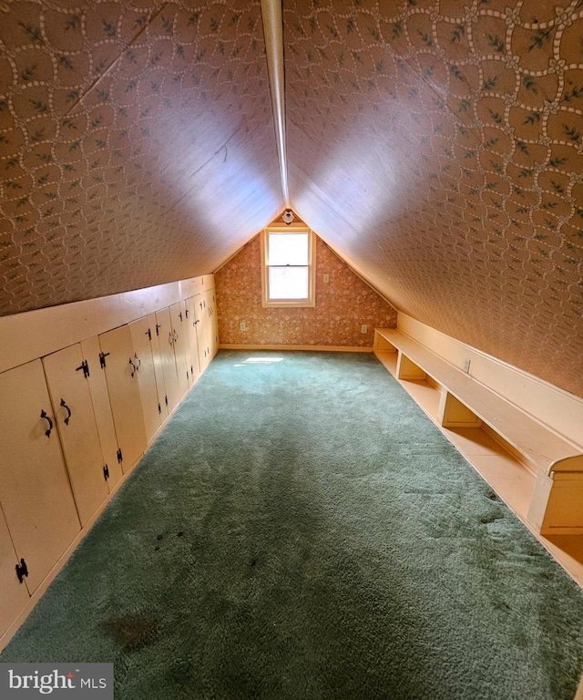 49 Front St, Wyoming, DE 19934 - bonus room featuring carpet flooring and vaulted ceiling
