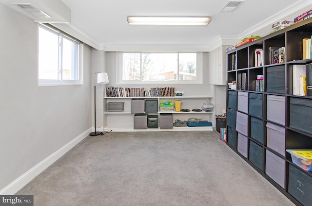 3302 Olympia Ave, Baltimore, MD 21215 - view of storage area