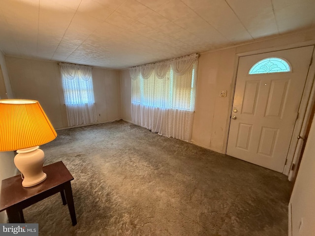 foyer entrance featuring healthy amount of natural light and carpet flooring