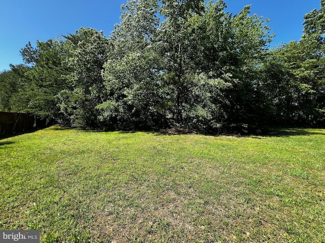 10400 Markby Ct, White Plains, MD 20695 - view of yard