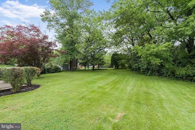 3702 Forest Grove Dr, Annandale, VA 22003 - view of grassy yard featuring view of scattered trees