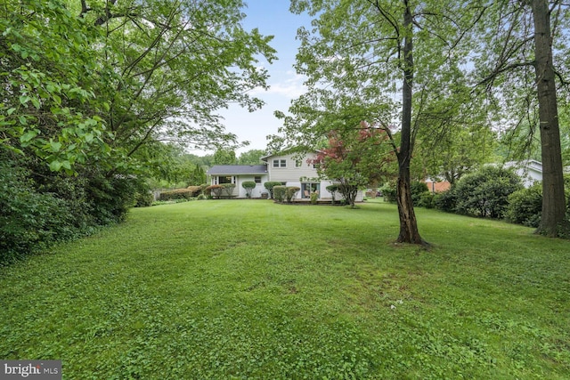 3702 Forest Grove Dr, Annandale, VA 22003 - view of green lawn
