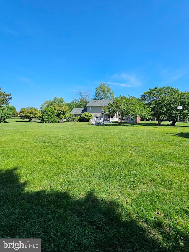 24749 Swan Rd, Saint Michaels, MD 21663 - view of grassy yard