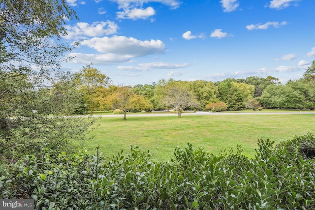 24749 Swan Rd, Saint Michaels, MD 21663 - view of grassy yard