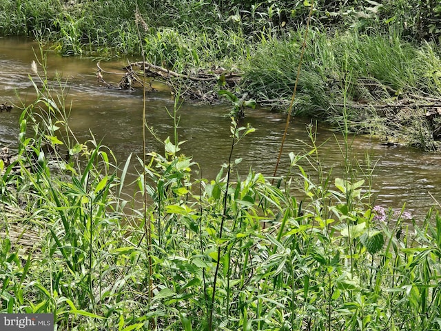 302 W Front St, Lewisberry, PA 17339 - view of local wilderness