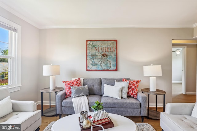 6624 Boulevard Vw Unit C1, Alexandria, VA 22307 - living room featuring baseboards, wood finished floors, and crown molding