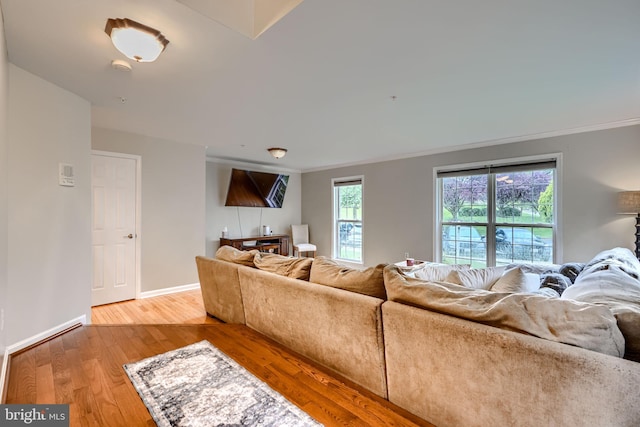 2212 Palustris Ln, Abingdon, MD 21009 - living area with crown molding, wood finished floors, and baseboards