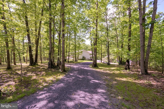 523 Zig Zag Ln, Inwood, WV 25428 - view of dirt / gravel driveway