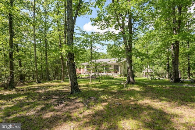 523 Zig Zag Ln, Inwood, WV 25428 - view of grassy yard