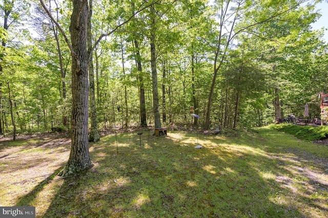 523 Zig Zag Ln, Inwood, WV 25428 - view of yard with a wooded view