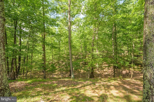 523 Zig Zag Ln, Inwood, WV 25428 - view of wooded area