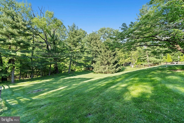 60 S Forge Manor Dr, Phoenixville, PA 19460 - view of green lawn