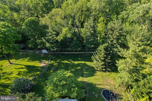 60 S Forge Manor Dr, Phoenixville, PA 19460 - view of yard featuring a wooded view