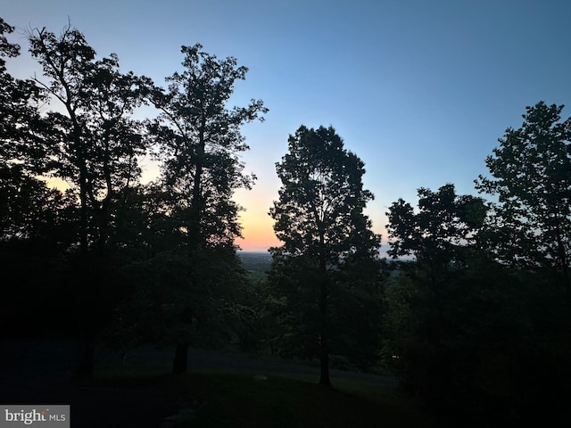 view of yard at dusk