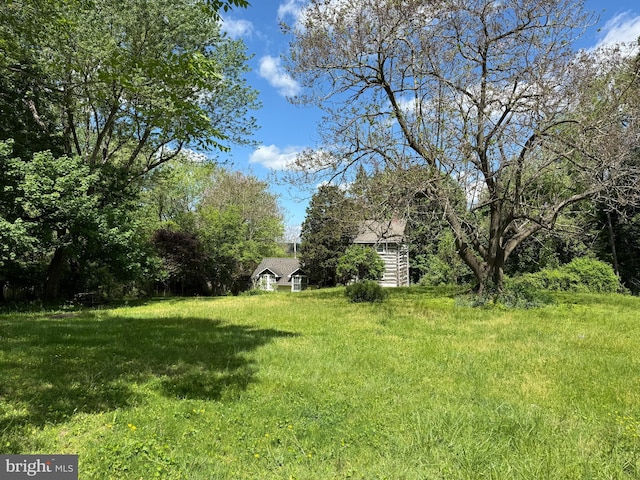 view of yard