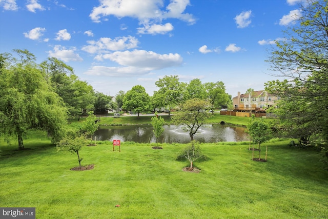 view of community with a water view and a yard