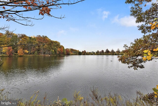 water view