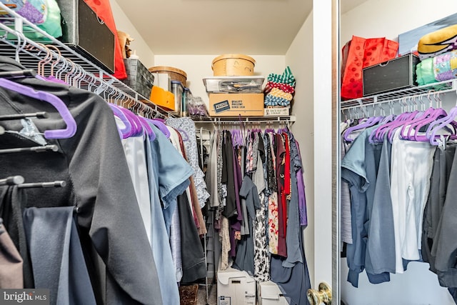 260 Shirley Ln, Pennsburg, PA 18073 - view of spacious closet