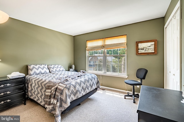 260 Shirley Ln, Pennsburg, PA 18073 - bedroom featuring carpet floors and a closet