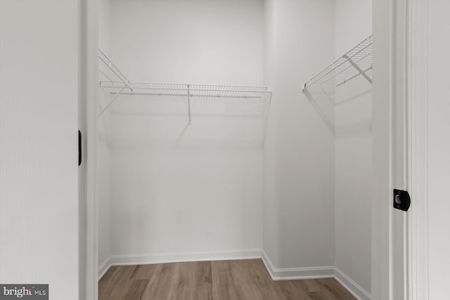 walk in closet with wood finished floors