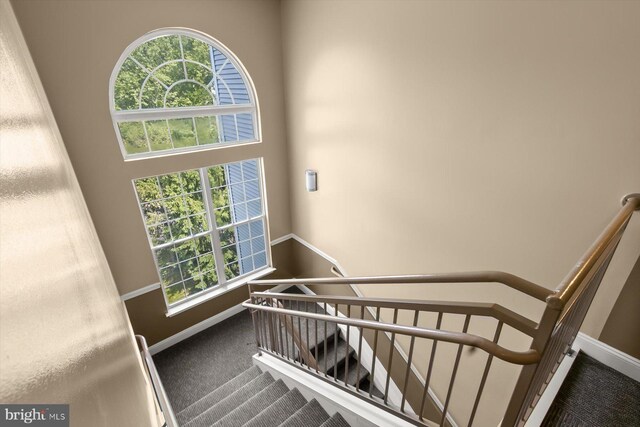staircase with plenty of natural light, carpet floors, and baseboards