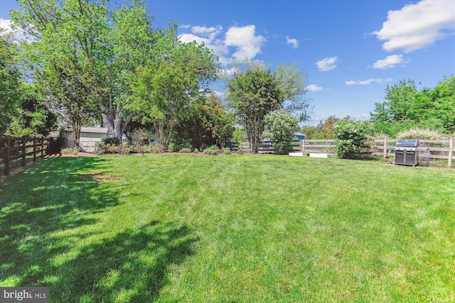 view of yard