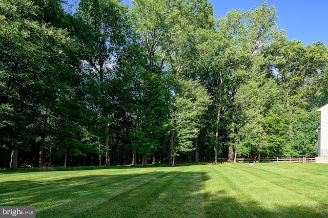 9609 Low Meadow Dr, Gaithersburg, MD 20882 - view of yard