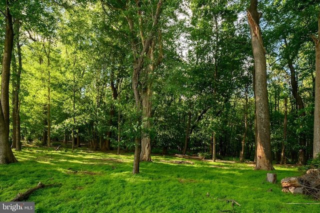 9609 Low Meadow Dr, Gaithersburg, MD 20882 - view of green lawn featuring a wooded view