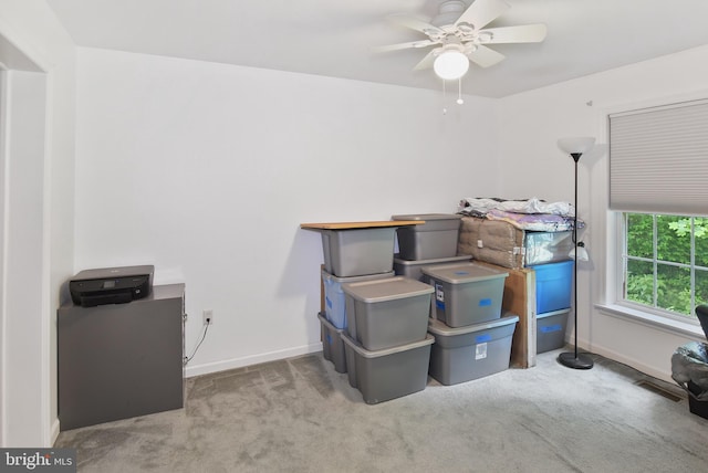storage featuring ceiling fan