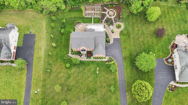 bird's eye view
