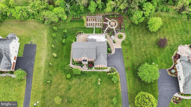 bird's eye view