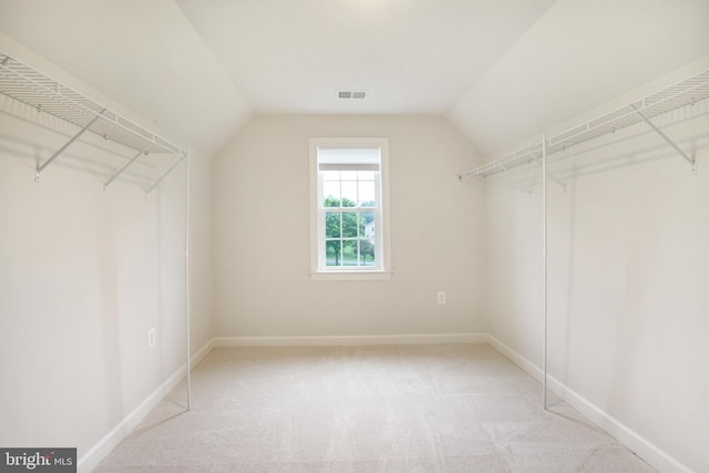 walk in closet featuring vaulted ceiling and carpet